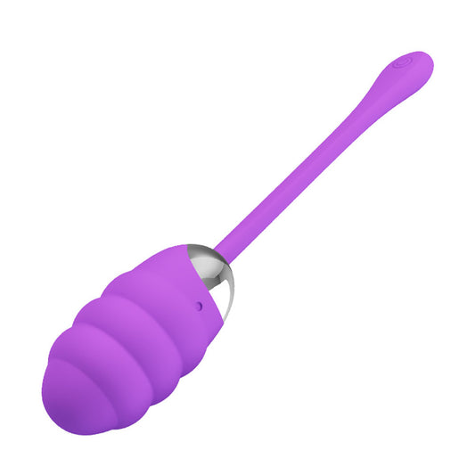 Pretty Love Franklin Rechargeable Egg Vibe - Purple BI-014656-1